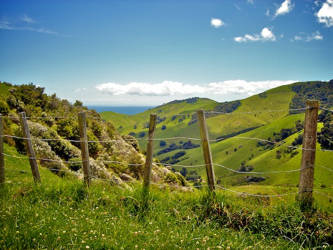 NZ Coromandel.JPG (92906 bytes)